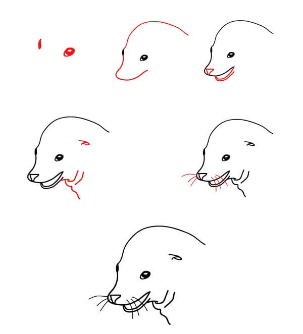 Sea Lion Head Drawing Ideas