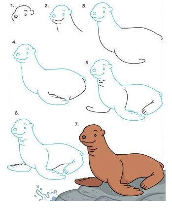 Sea Lion idea (11) Drawing Ideas