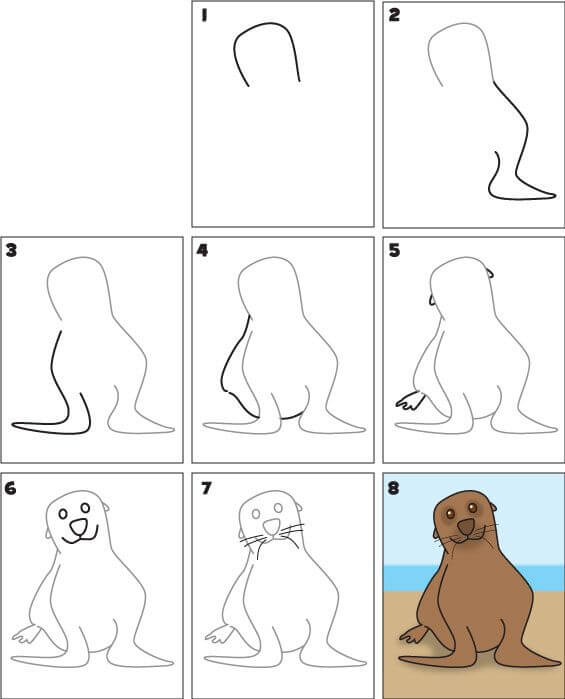 Sea Lion idea (2) Drawing Ideas