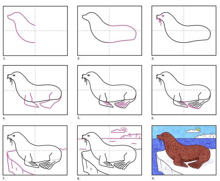 Sea Lion idea (3) Drawing Ideas