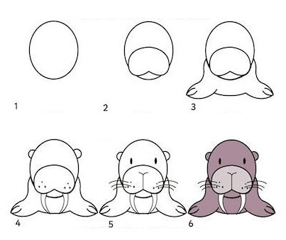 Sea Lion idea (4) Drawing Ideas