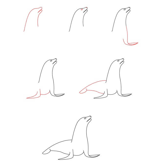 Sea Lion idea (5) Drawing Ideas