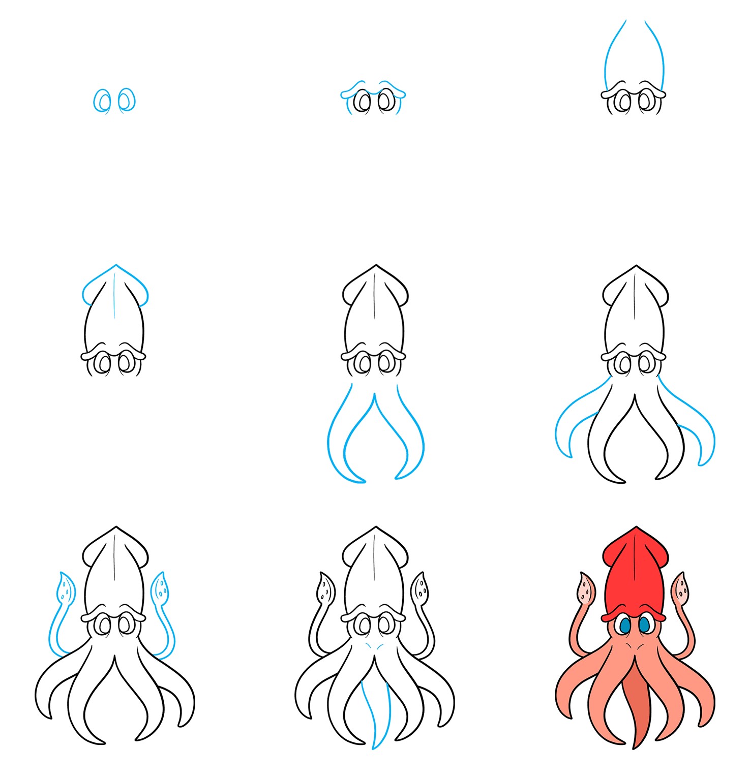 Squid Drawing Ideas