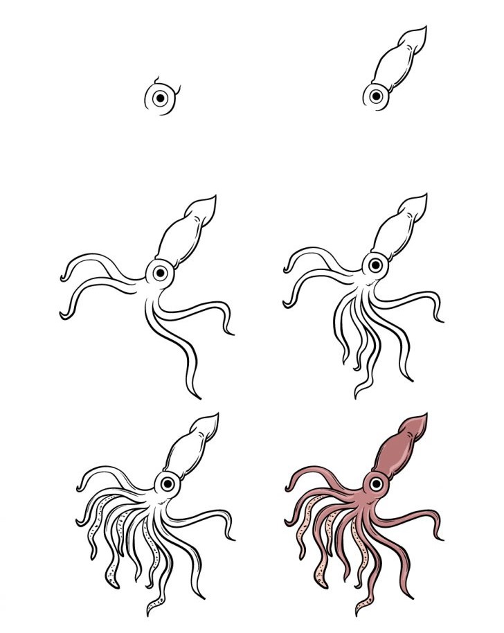 Squid idea (13) Drawing Ideas