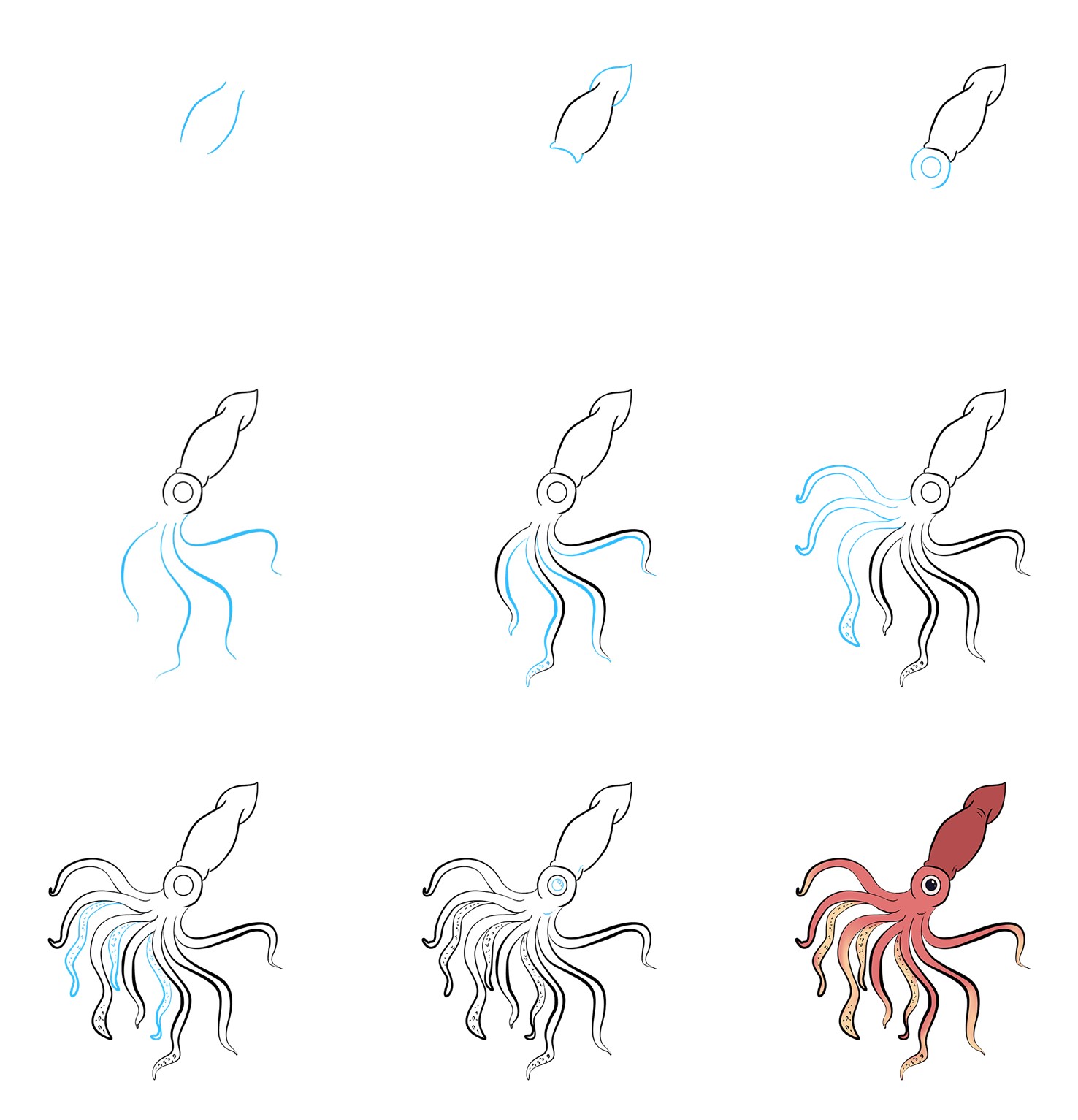 Squid idea (9) Drawing Ideas