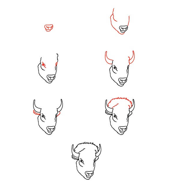 Bison Face Drawing Ideas