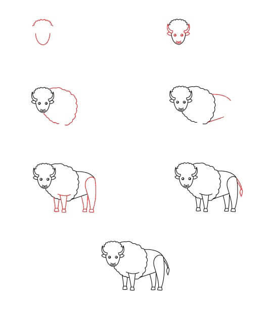 Bison for Kids Drawing Ideas