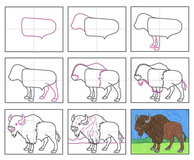 Bison idea (13) Drawing Ideas