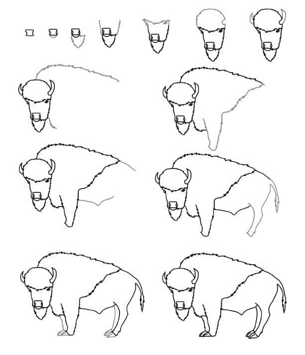 Bison idea (14) Drawing Ideas