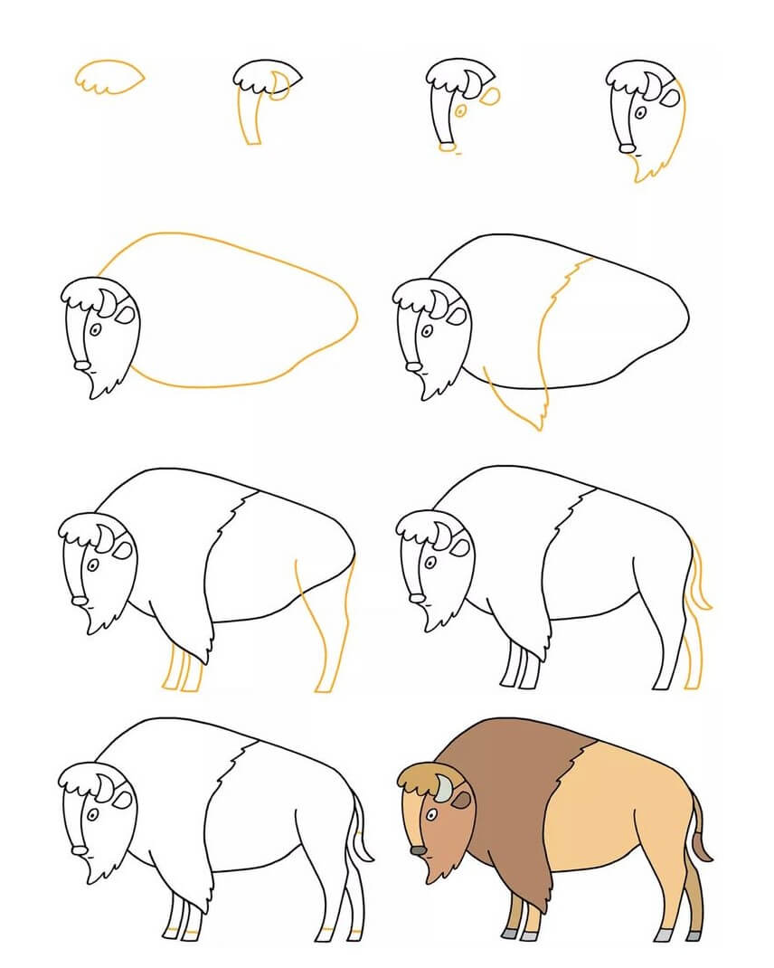 Bison idea (3) Drawing Ideas