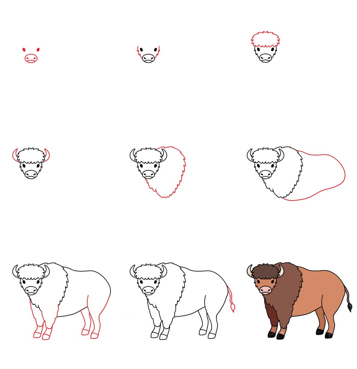 Bison Drawing Ideas