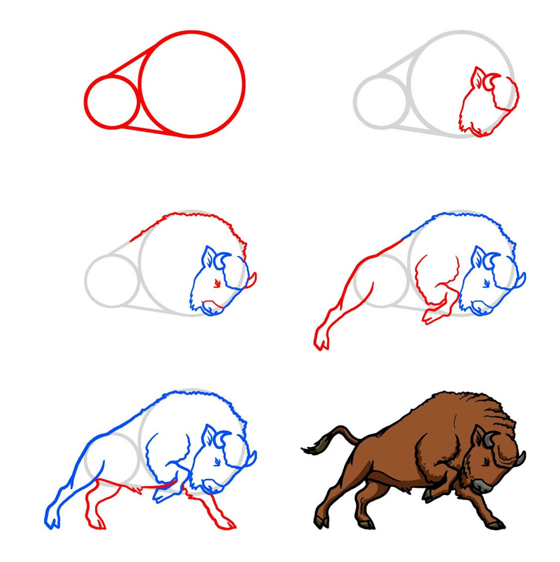 Bison idea (7) Drawing Ideas