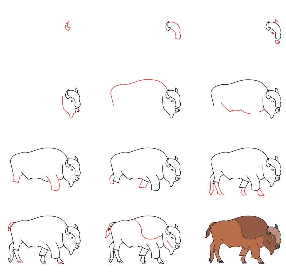 Bison idea (8) Drawing Ideas