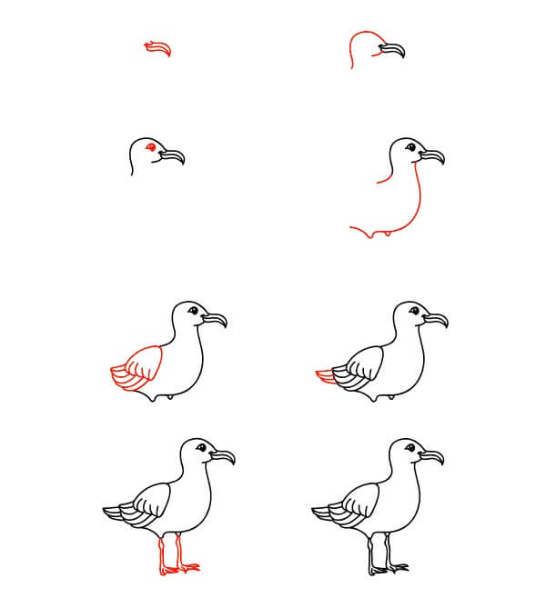 Cartoon Seagull Drawing Ideas