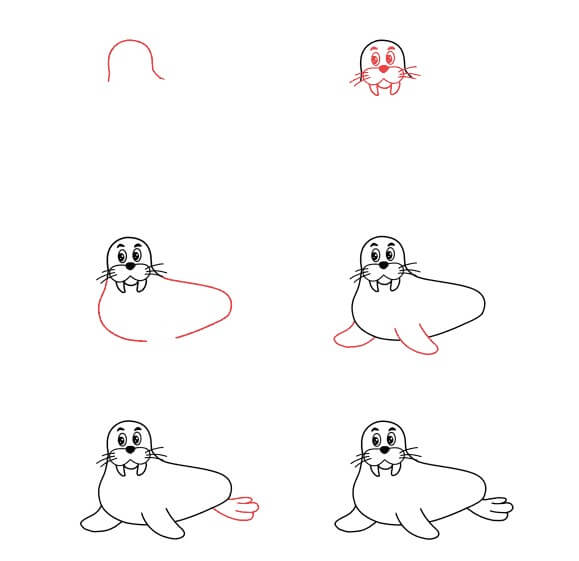 Cartoon Walrus Drawing Ideas