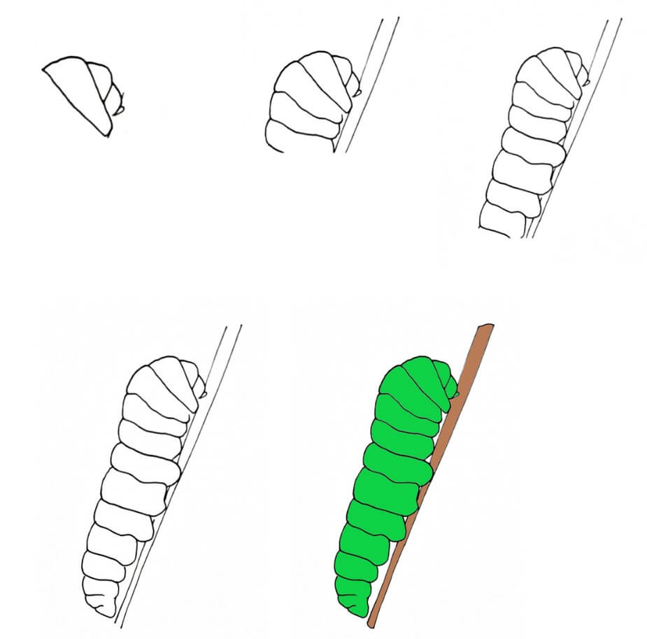 Caterpillar idea (5) Drawing Ideas