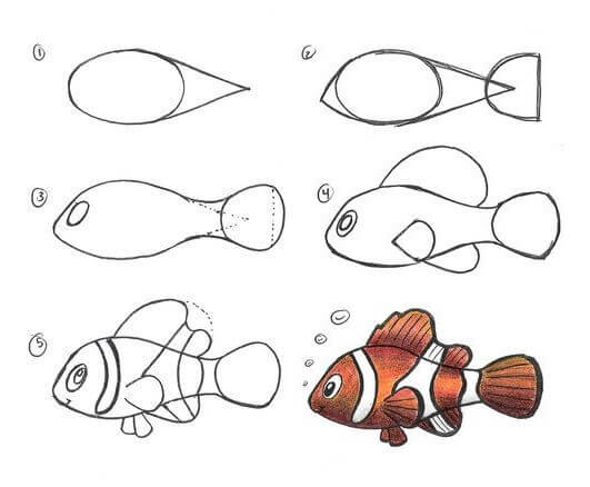 Clownfish idea (11) Drawing Ideas