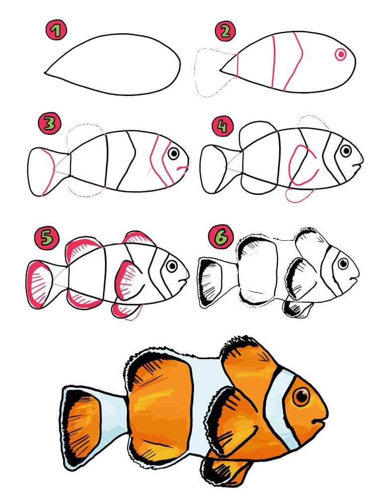 Clownfish idea (16) Drawing Ideas