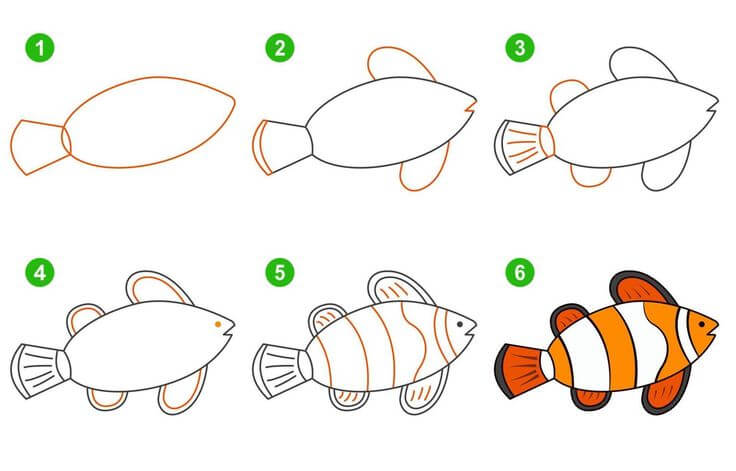 Clownfish idea (3) Drawing Ideas