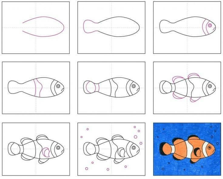 Clownfish idea (7) Drawing Ideas