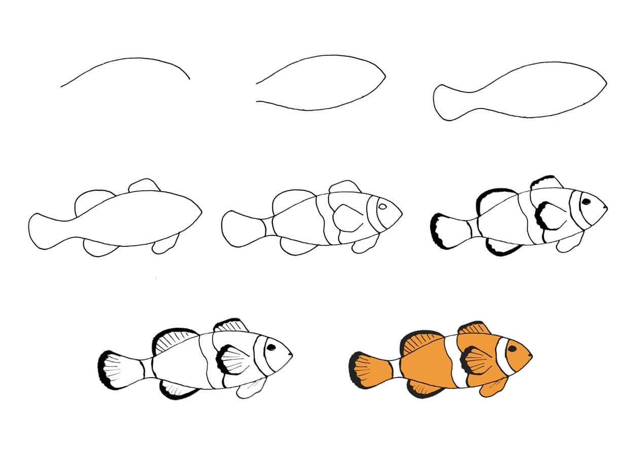 Clownfish idea (8) Drawing Ideas