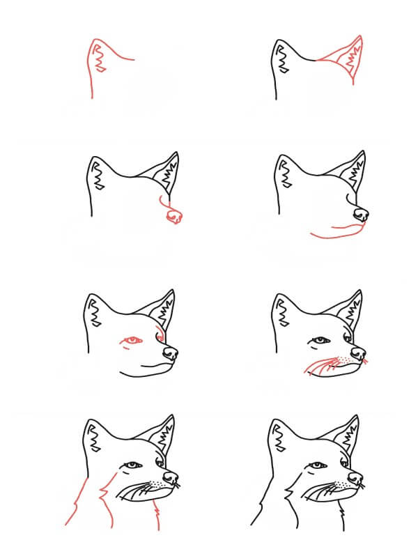 Coyote Head Drawing Ideas