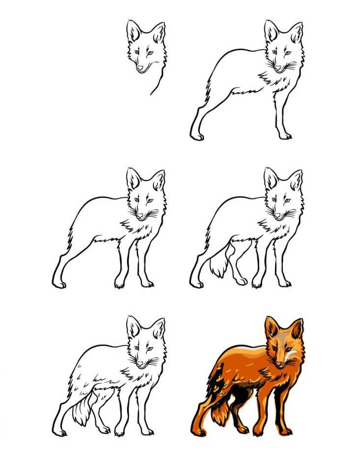 Coyote idea (10) Drawing Ideas