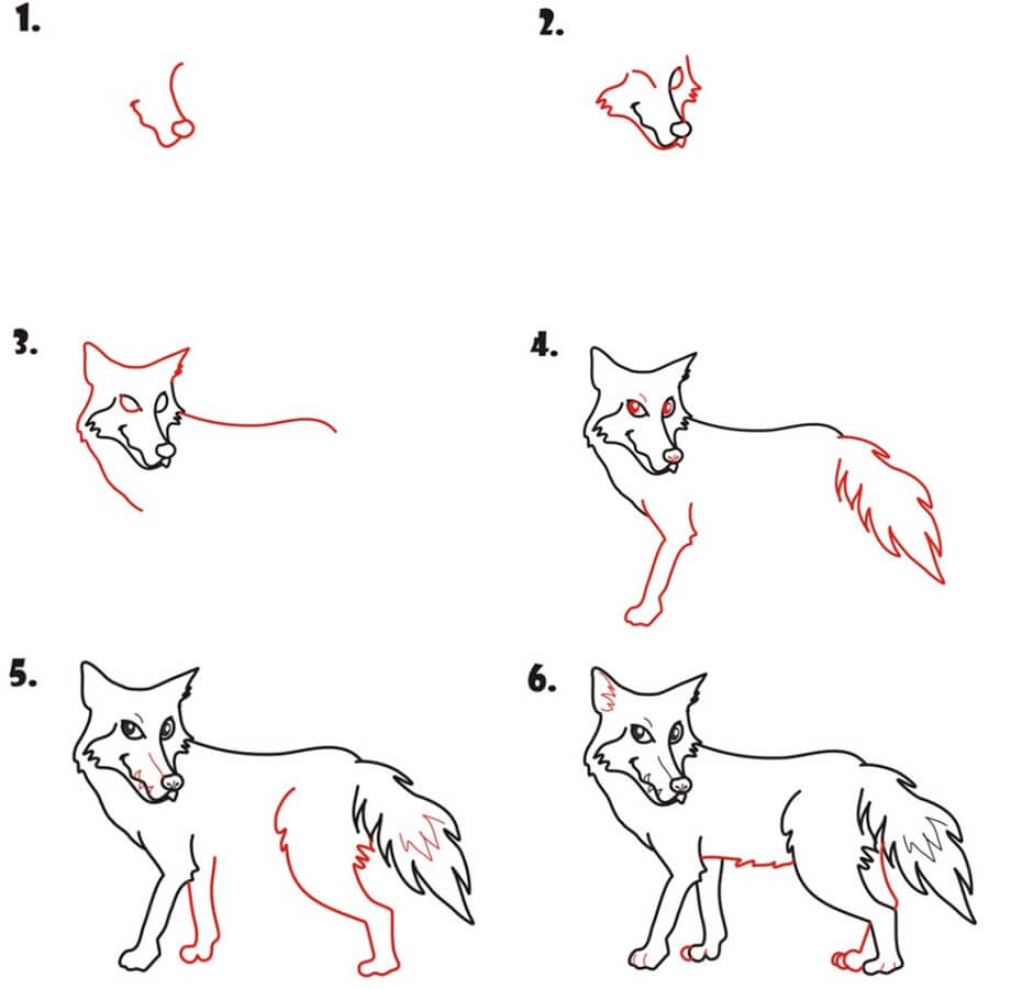 Coyote idea (11) Drawing Ideas