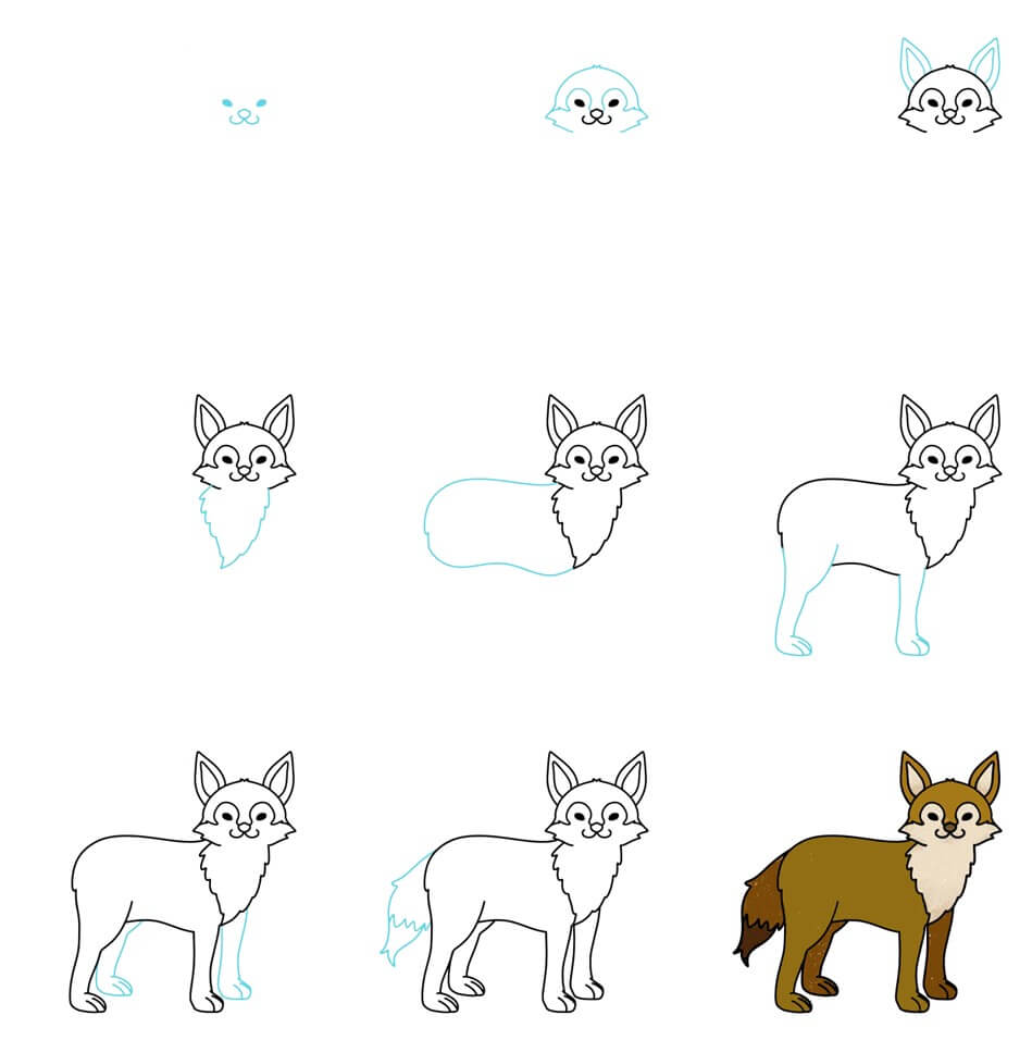 Coyote Drawing Ideas