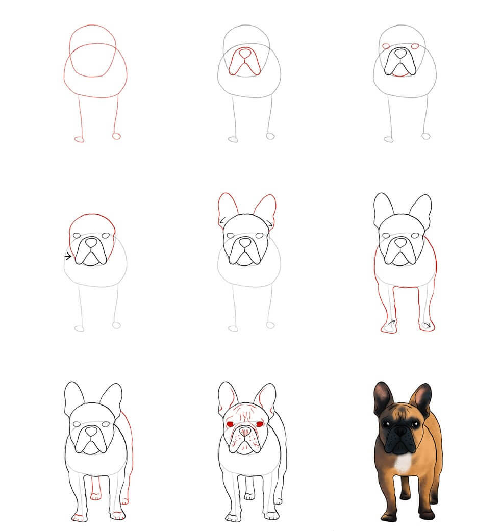 French Bulldog idea (10) Drawing Ideas