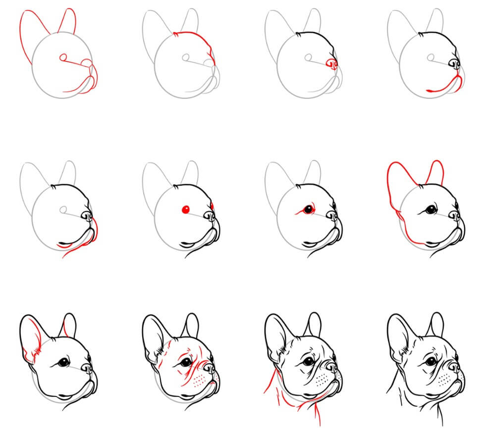 French Bulldog idea (3) Drawing Ideas