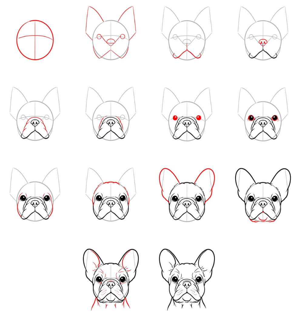 French Bulldog idea (9) Drawing Ideas