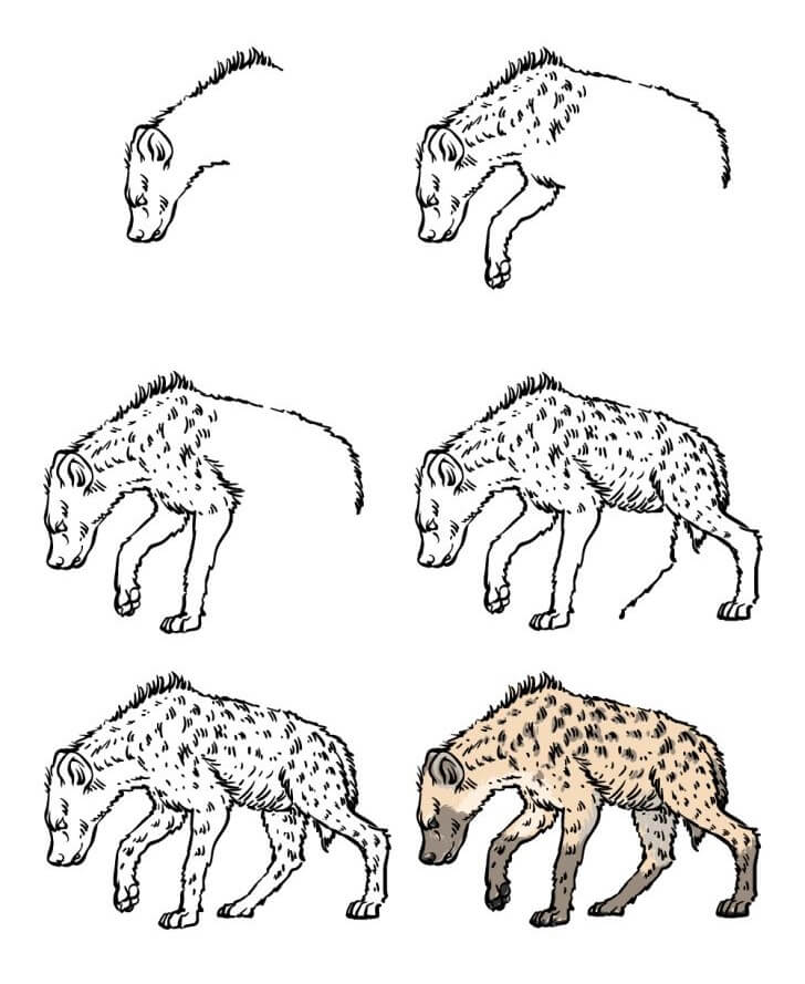 Hyena idea (6) Drawing Ideas