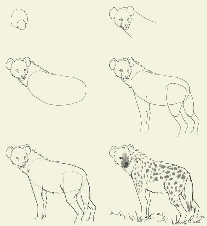 Hyena simple Drawing Ideas