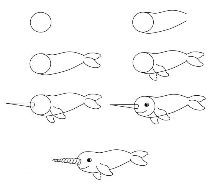 Narwhal idea (10) Drawing Ideas