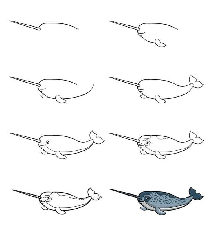 Narwhal idea (3) Drawing Ideas