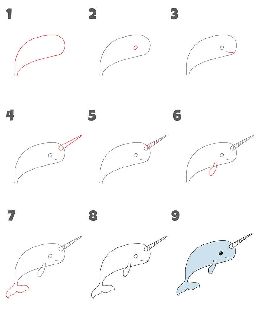 Narwhal idea (7) Drawing Ideas