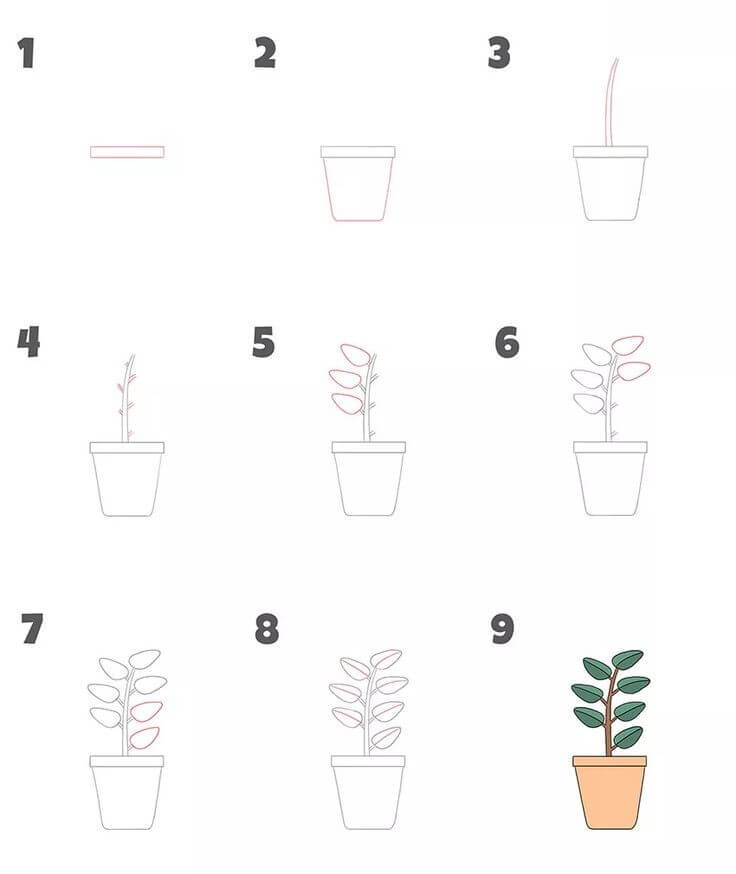 Plant idea (11) Drawing Ideas