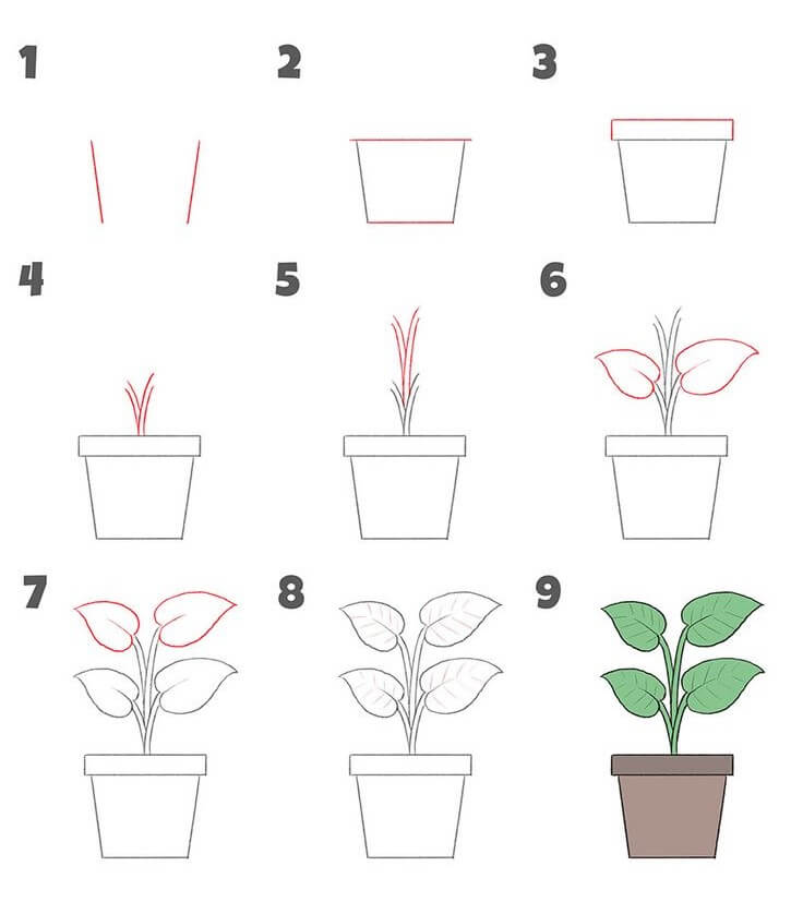 Plant idea (13) Drawing Ideas