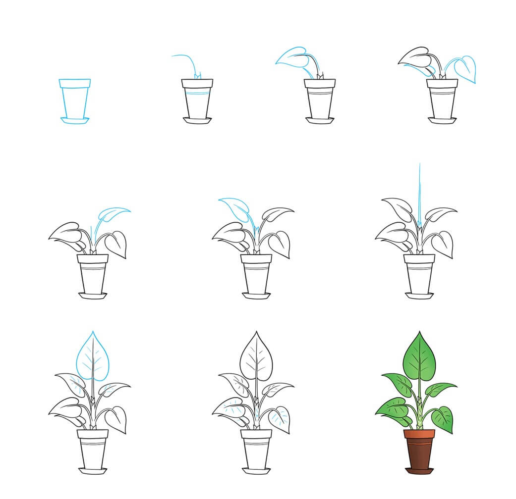 Plant idea (18) Drawing Ideas