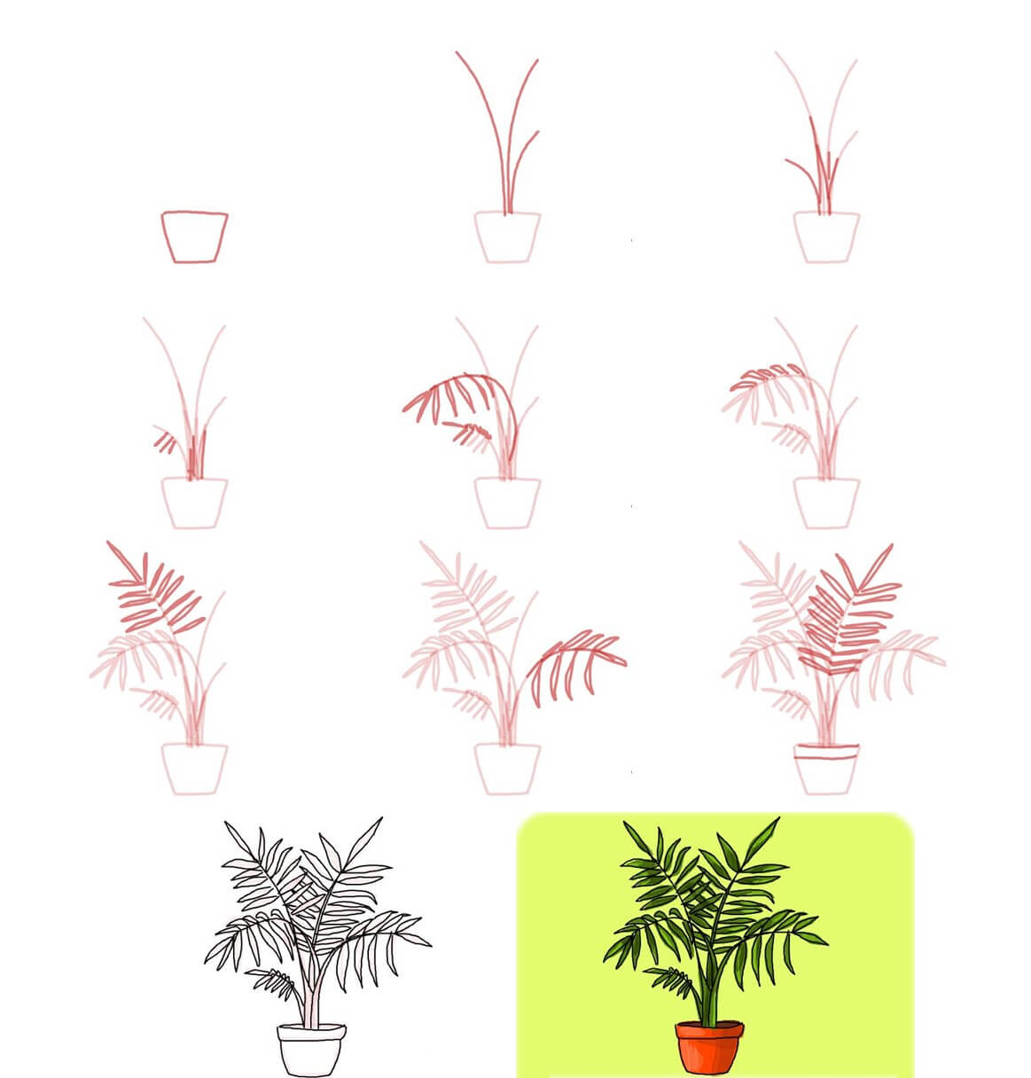 Plant idea (19) Drawing Ideas