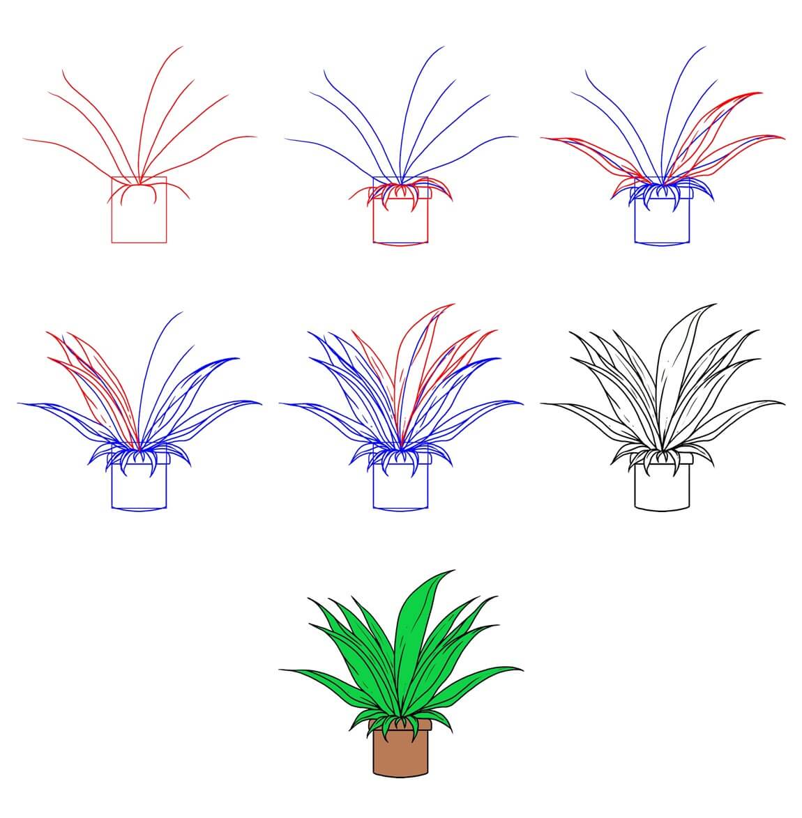 Plant idea (3) Drawing Ideas