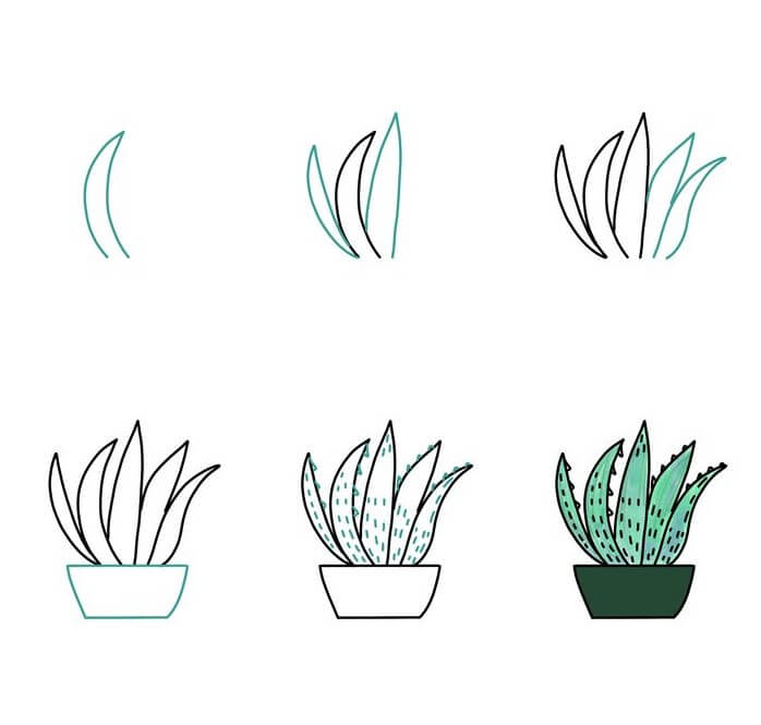 Plant idea (6) Drawing Ideas