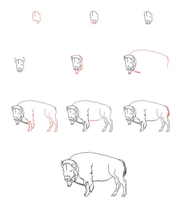 Realistic Bison Drawing Ideas