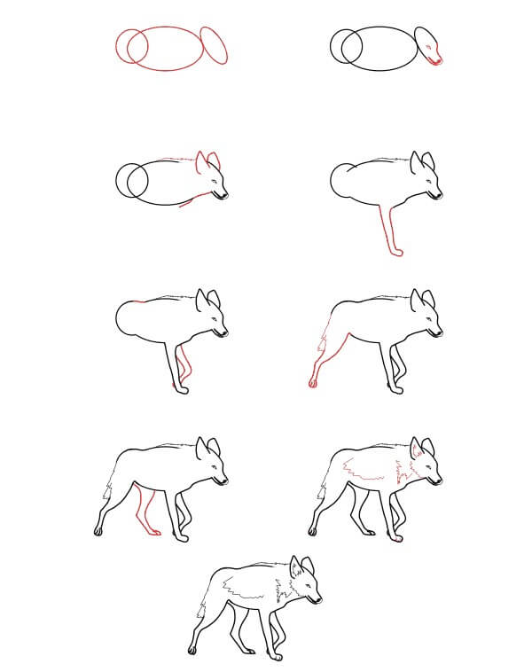 Realistic Coyote Drawing Ideas