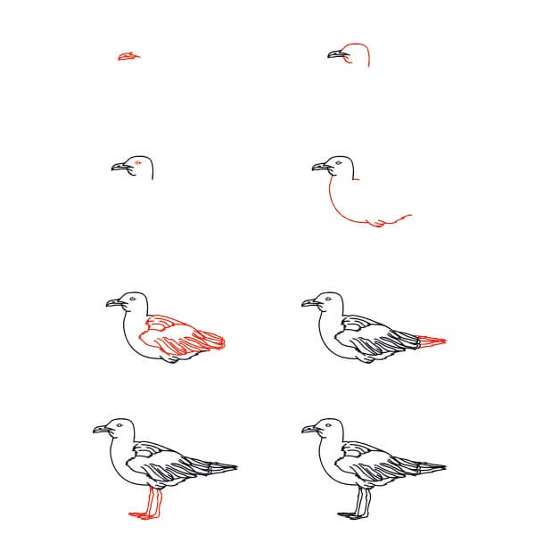 Realistic Seagull Drawing Ideas