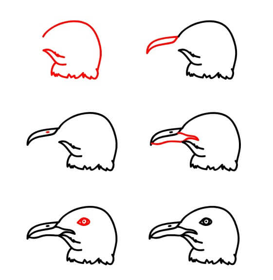 Seagull Face Drawing Ideas