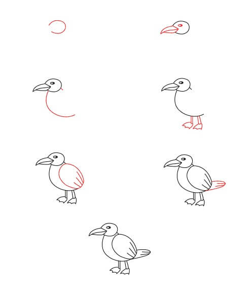 Seagull for Kids Drawing Ideas