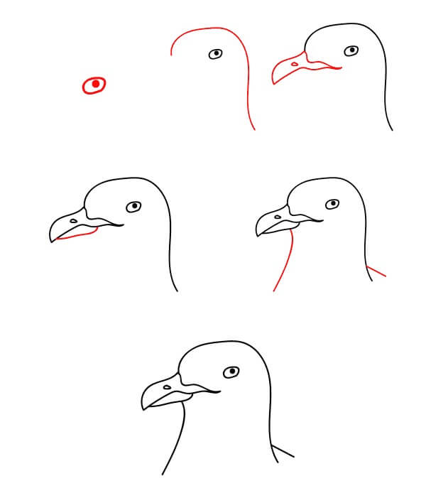 Seagull Head Drawing Ideas