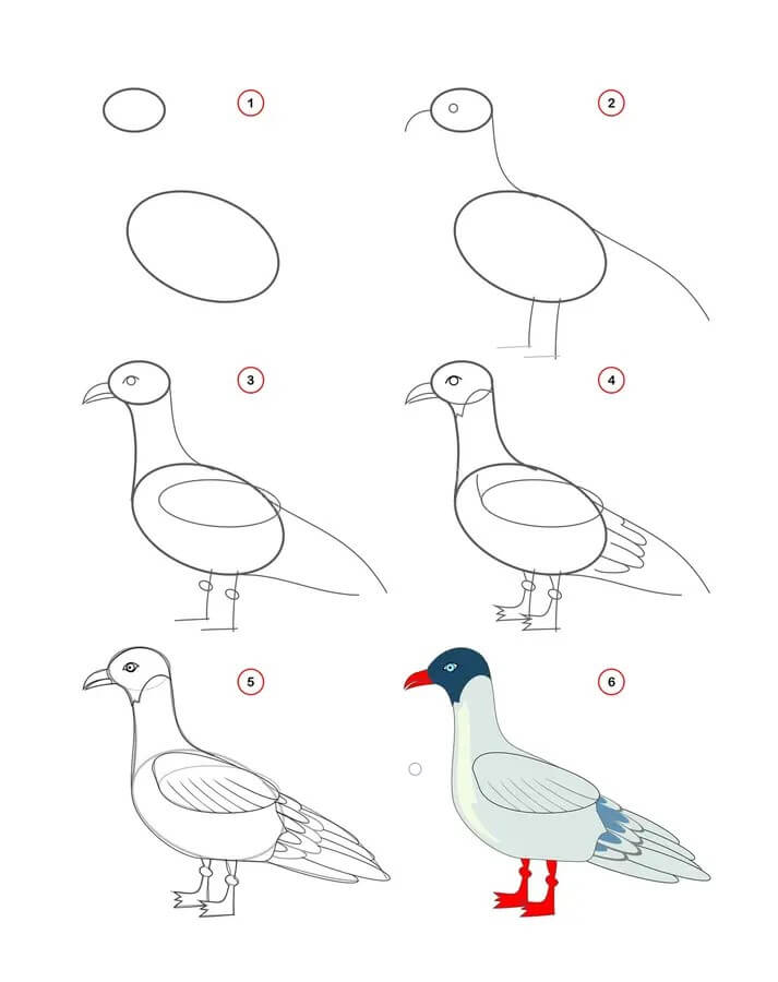 Seagull idea (1) Drawing Ideas